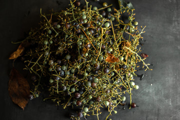 Grape vine leftovers from making wine or grappa