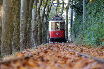 Old tram in Colares, Portugal - obrazy, fototapety, plakaty