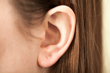 Close up view of woman's ear