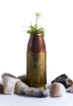 Patrone mit Blume