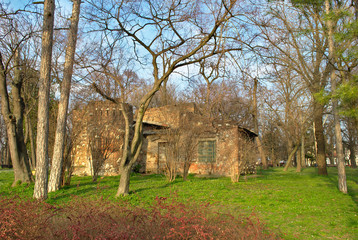 Old House in the Woods