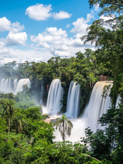 Fototapeta premium Wodospad Iguazu (wodospad Iguaçu) na granicy Argentyny i Brazylii.