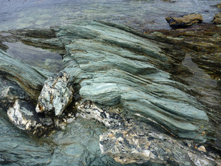 szaro zielone skały o fantazyjnych formach na brzegu morza