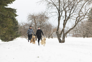 Fototapeta na wymiar Canicross woman group Sled Dogs Pulling in winter season