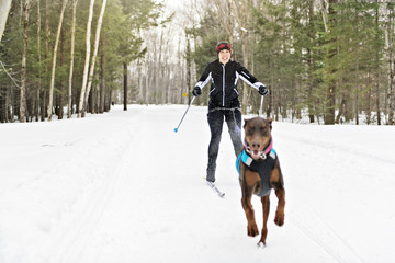 skijoring woman in forest