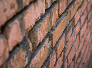 Old Red Wall