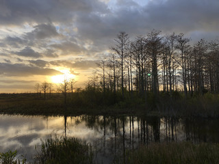 sunburst in the marsh