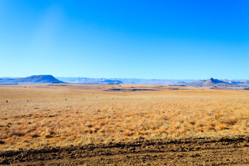 Fototapeta na wymiar Orange Free State panorama, South Africa