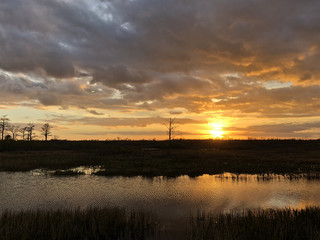 sunset in the swamps