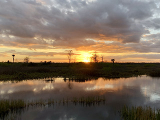 Fototapeta na wymiar sunset in the swamps