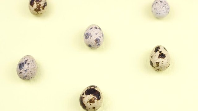 Quail easter eggs on pastel yellow surface in minimalism style close up.
