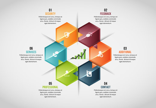 6 Hexagonal Sections Infographic