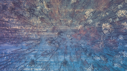 Aerial view snow covered park