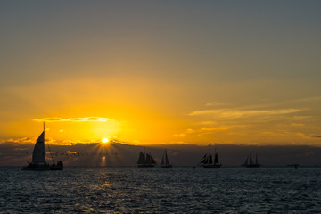 USA, Florida, Orange burning sunset at key west with many sailing ships on the water