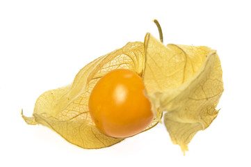  Physalis fruit ( Physalis peruviana) isolated on a white background