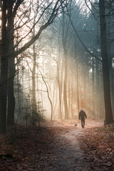 Man with a dog are illuminated in the forest by the sunbeams of the rising sun, the rays magically shine through the damp early fog.