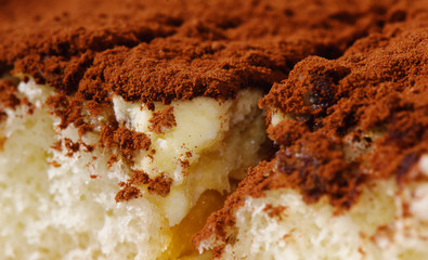 Cake tiramisu macro