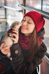 Pet ferret taking a ride on city tram