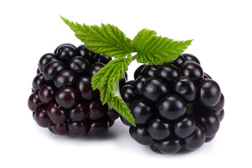 blackberries with green leaf isolated on white background. macro