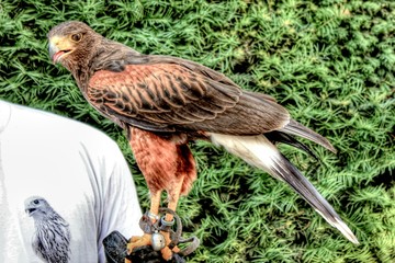 the area of ​​South Moravia in the Czech Republic is beautiful and very popular