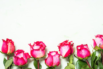 Rose flower background. Top view.