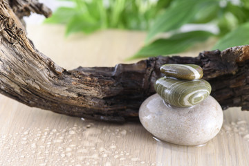 Spa Still Life, Stones and wood on green background
