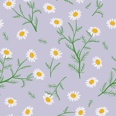 Daisy flowers. Seamless pattern. Vector illustration.