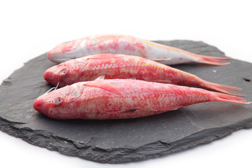 Rouget - Poisson frais