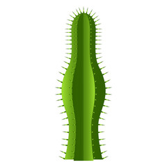 Isolated cute cactus