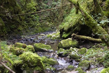 Rivière