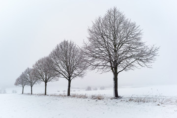 Winter in Skåne, Sweden 3