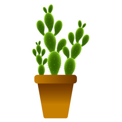 Isolated cute cactus