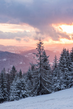 Fototapeta Malowniczy zachód słońca zimą w górach z widokiem na las