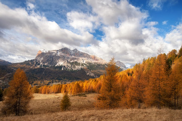 colorful autumn trees and mountain peaks with snow. Dolomites Alps, Italy