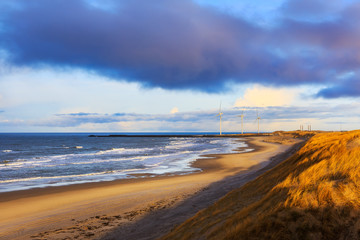 Dunes at Hvide Sande beach