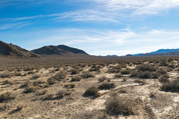 Arizona desert in January, USA