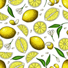Lemon vector seamless pattern drawing. Summer citrus fruit print