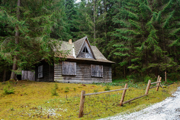 View on the carpathian pinewood house