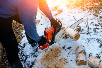 Process of sawing log by chainsaw in the winter