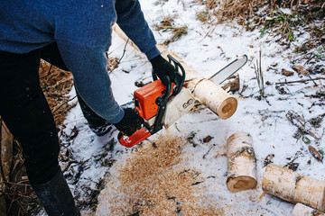 Process of sawing log by chainsaw in the winter