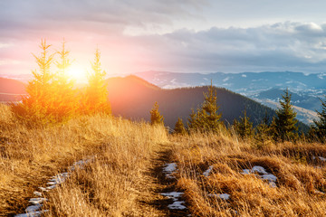 Scenic winter view on top of the Carpathian mountain