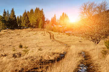 Scenic winter view on top of the Carpathian mountain
