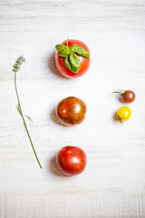 Various types of tomatoes, basil leaves and lavender flowers