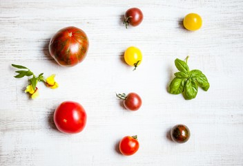 Naklejka na ściany i meble Various types of tomatoes, basil leaves