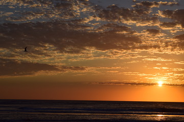Sea