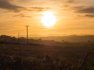 early morning winter landscape