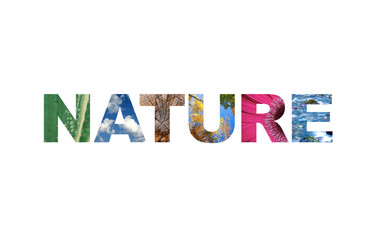 Logo lettering Nature word - isolated over white