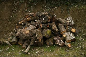 Fototapeta na wymiar Close-up of a firewood pile