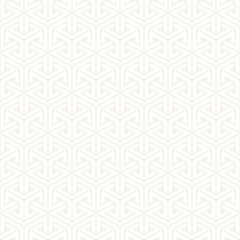 Vector seamless subtle pattern. Modern stylish texture with monochrome trellis. Repeating geometric hexagonal grid. Simple lattice design.
