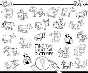 find two identical cows educational color book